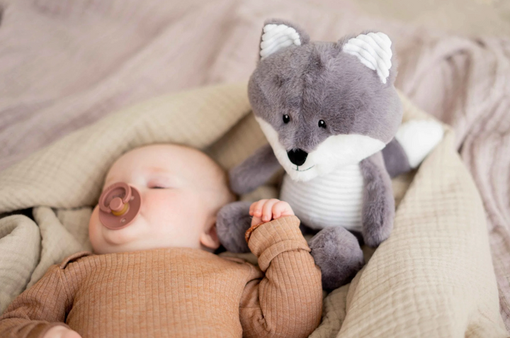 Robin  - Heartbeat comforter