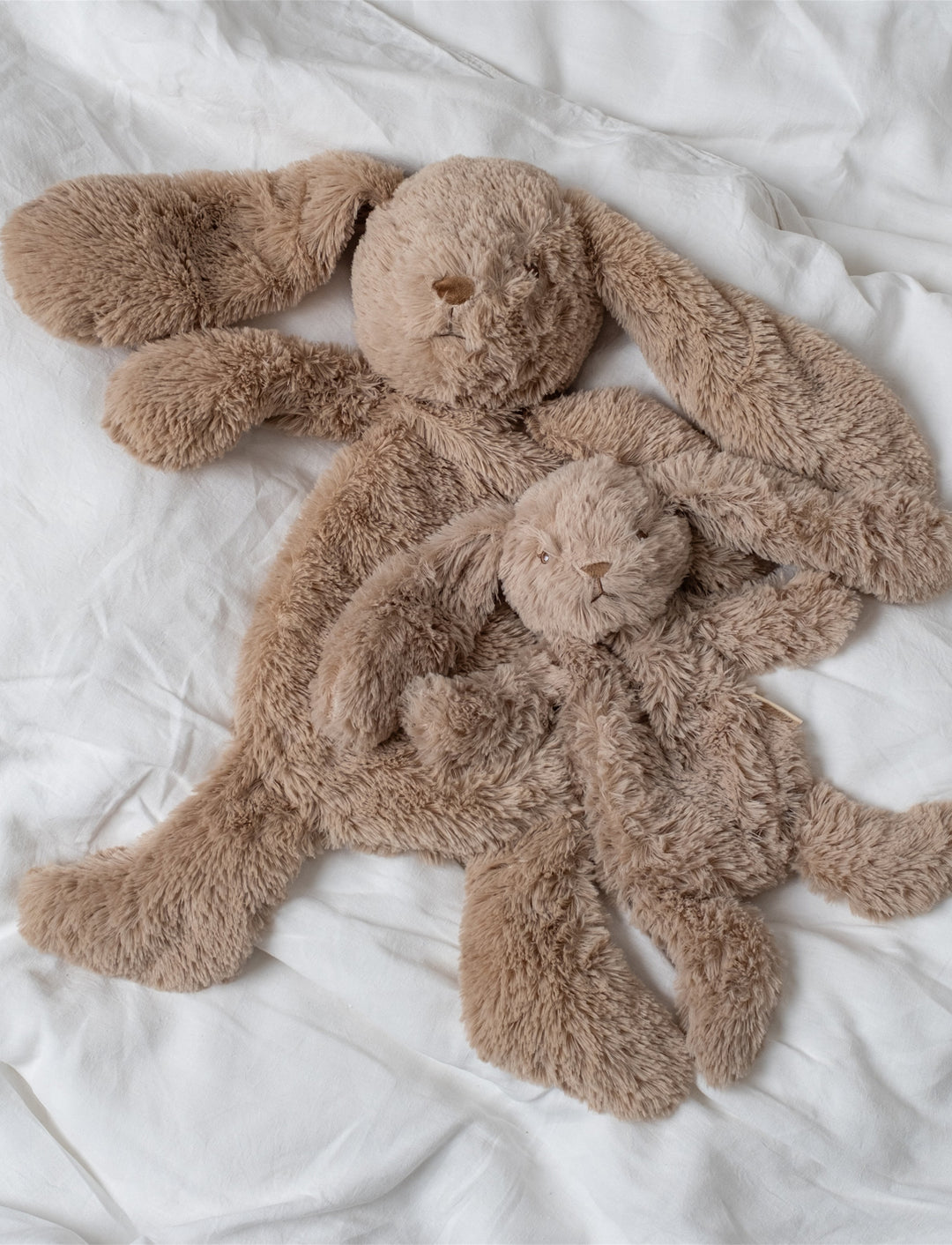 That’s Mine Houston Heavy Teddy Petit
