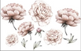 That's Mine Wall sticker - Peony Flower  - Hola BB