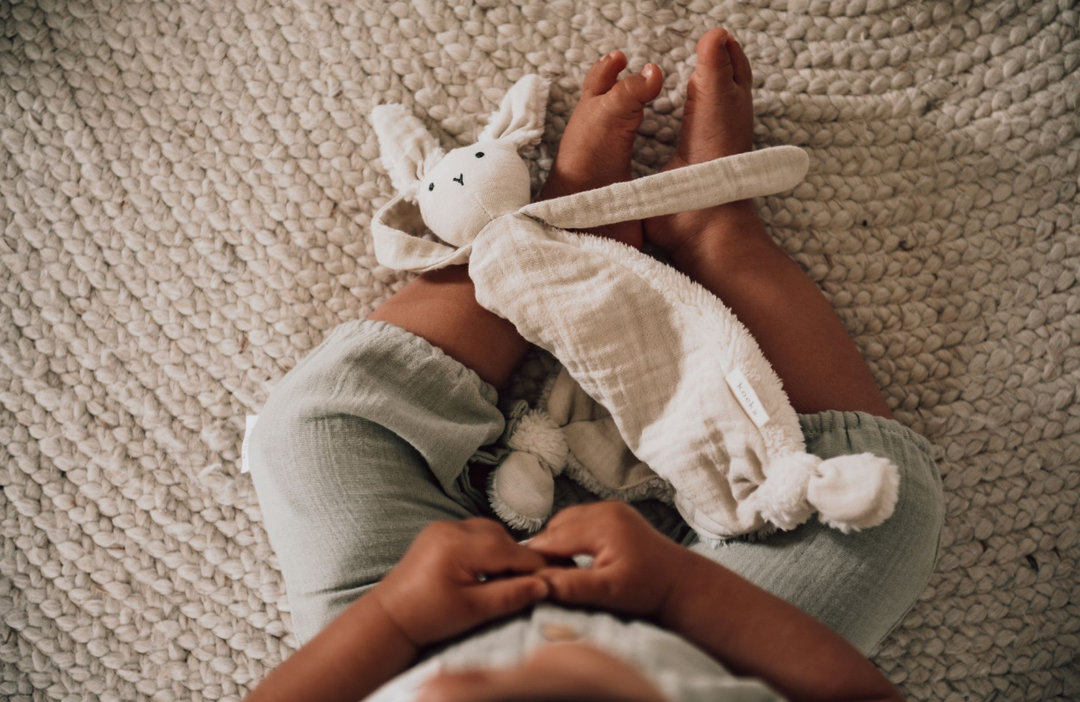 Sleep Tuttle — gosfilt