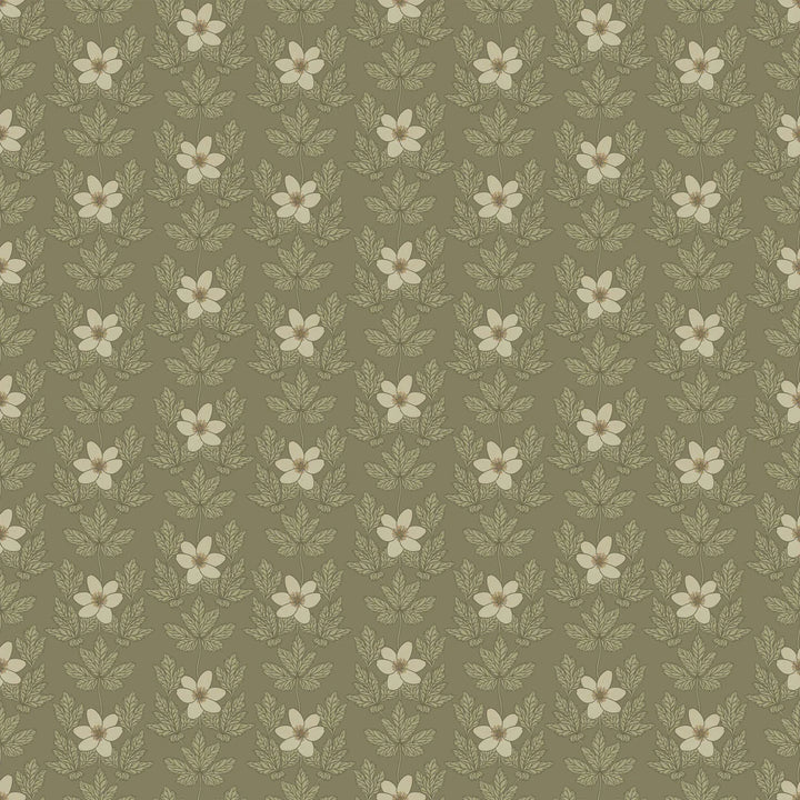 Summer Gray Wood Anemone Wallpaper Wood Anemone Green - Hola BB